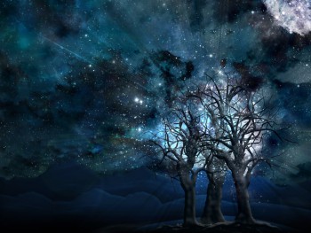 img-fonds-decran-glittery-sky-with-mystery-trees-design-maker-11998.jpg